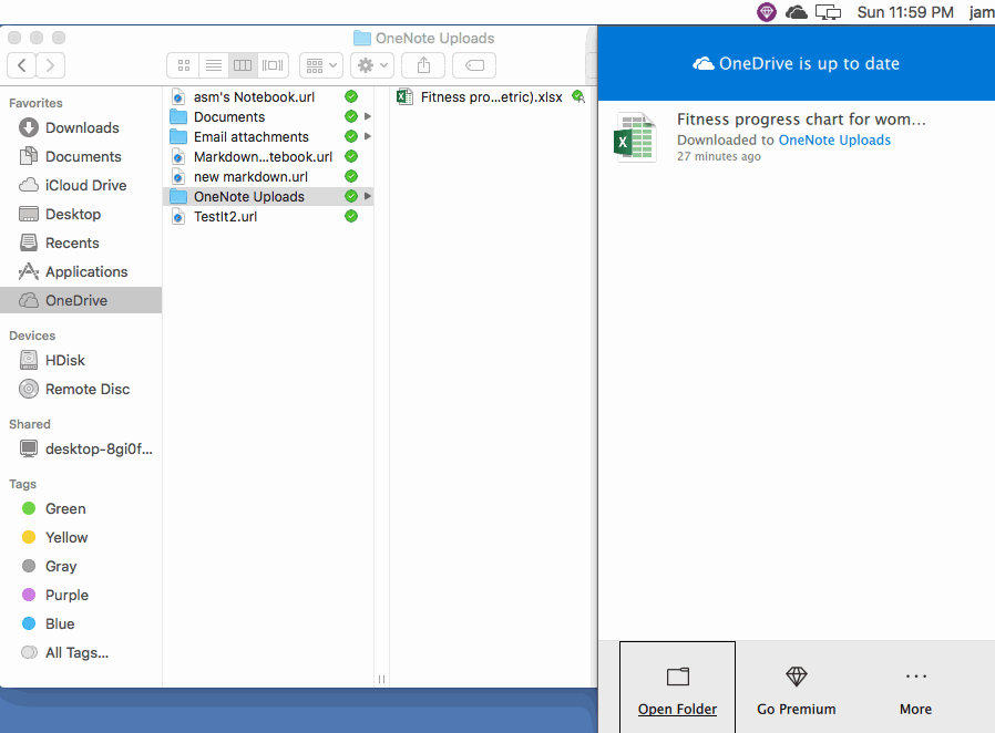 OneNote 的云附件保存在 OneDrive 的 “OneNote 上传”文件夹里 