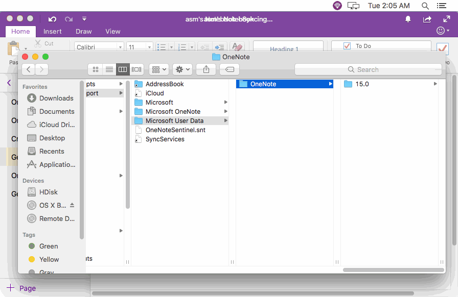 OneNote for Mac 的缓存文件夹