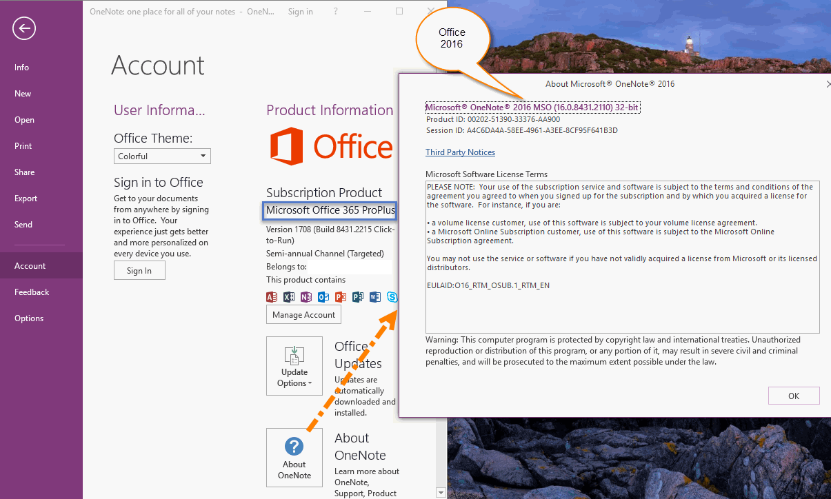 2016 版的 Office 365