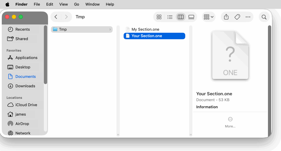本地的 .one 文件