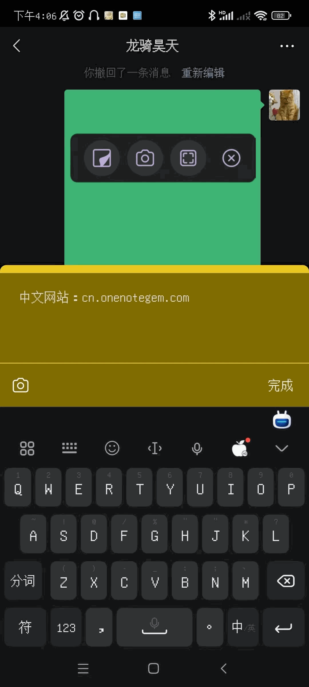 OneNote Floatie 的窗口
